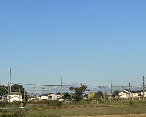 D120AB65-E5E8-420E-8B96-7A1D71F5D885