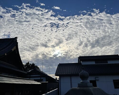 5EFEC352-B8DF-4512-970D-C4CF4AAD3115
