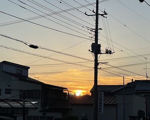 2B9A2955-C2CE-4885-8CAF-ECDD71852D60