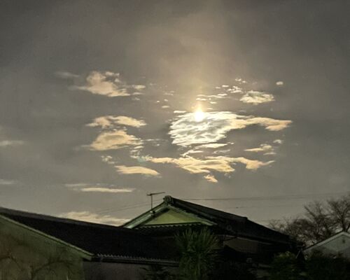 E7CE2913-8F5A-4A9A-9D0C-FA287995F5CB