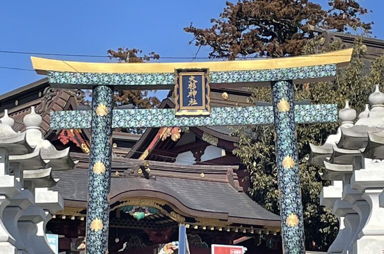 24ABE26A-8EB5-40D3-B713-921BA5EA4C9E