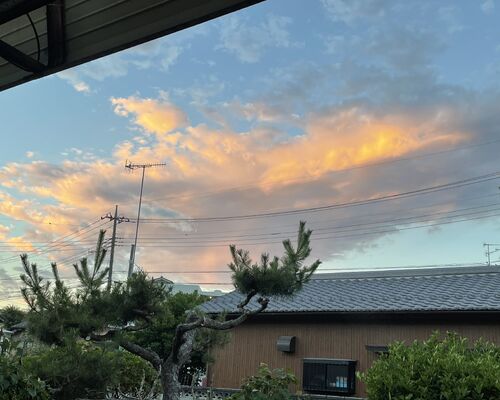 6B3D5125-D764-4DF6-B70F-C9EB36000585