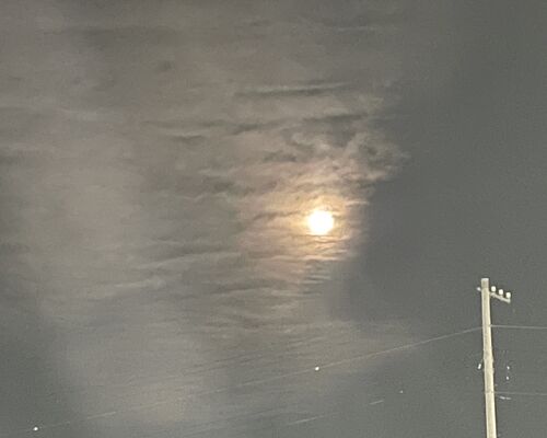 D791766E-784E-441D-AF04-4B0983CB304D