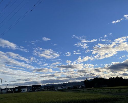 0631F568-4FD2-4177-A7AF-51109A186852