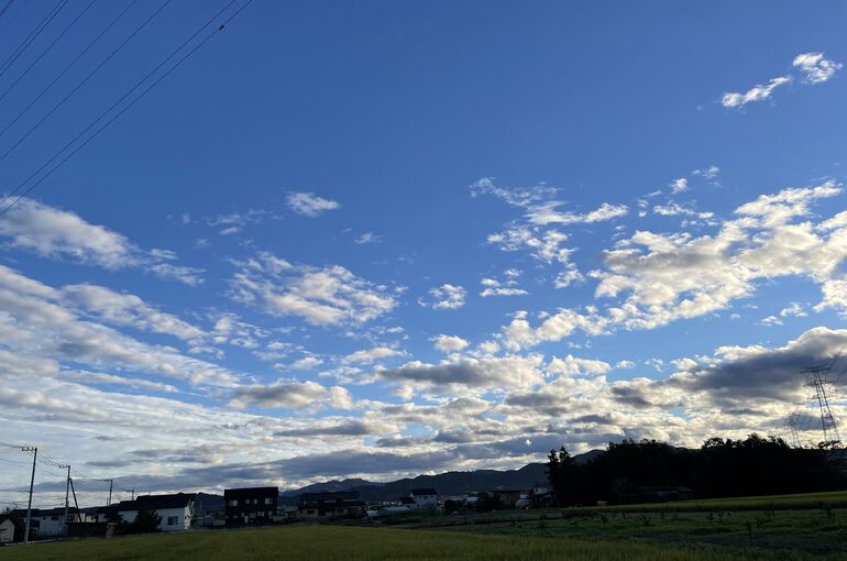0631F568-4FD2-4177-A7AF-51109A186852